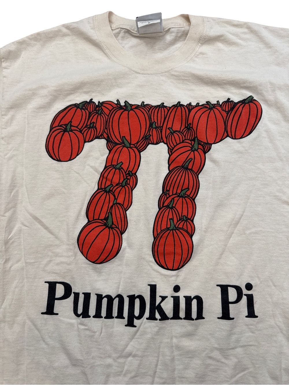 Vintage Pumpkin Pi Pie 3.14 Math Pun T-Shirt Rare Unique Nerd Size M Mens/Unisex
